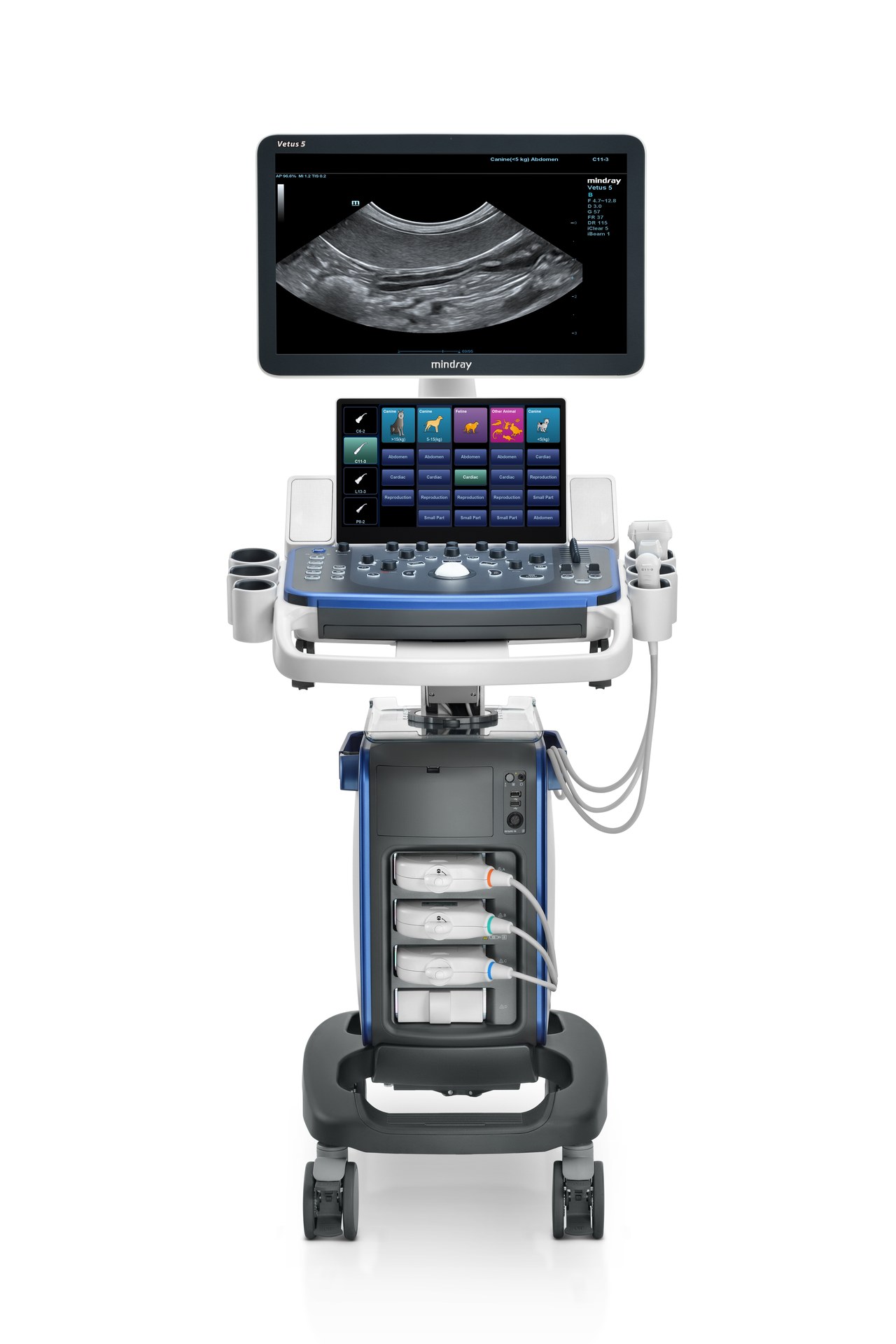 Vetus 5 workflow