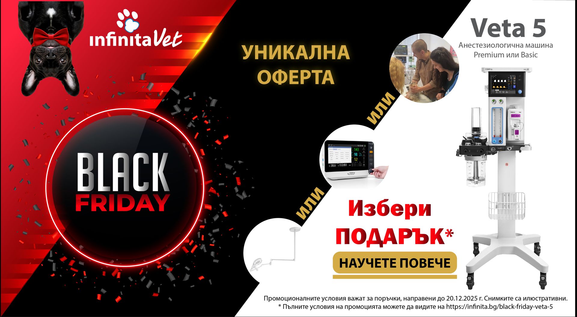 BlackFriday 2025 - Veta5 от Infinita