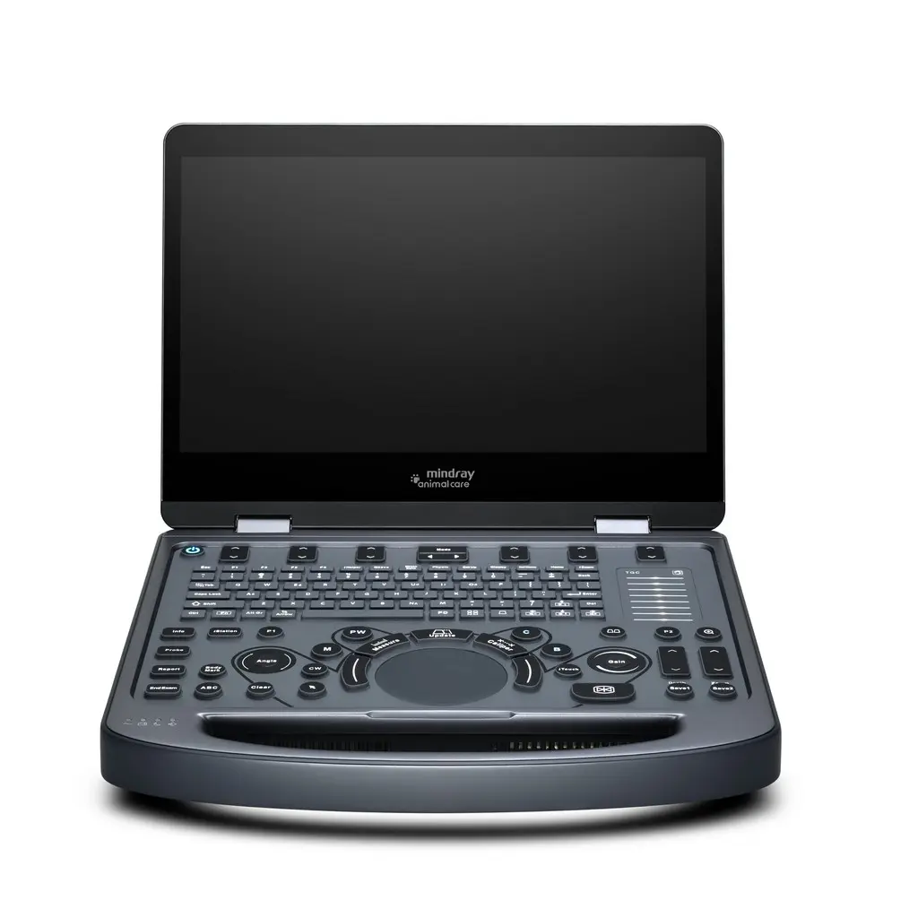 未命名会话58690.webp