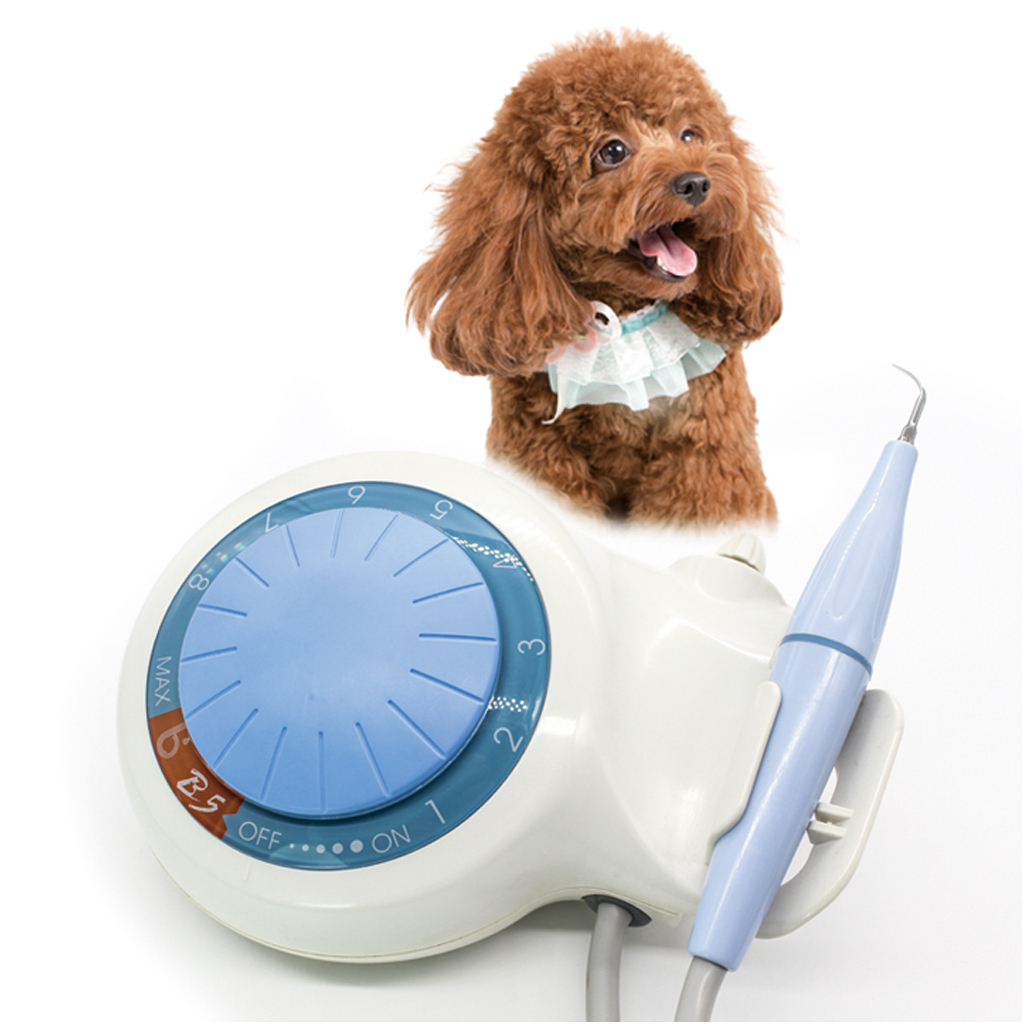 УЛТРАЗВУКОВ СКАЛЕР B5 за почистване на зъбен камък