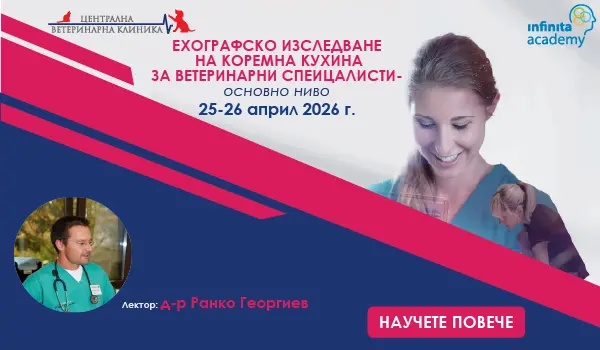 Ехографско изследване на коремна кухина за ветеринарни специалисти - основно ниво